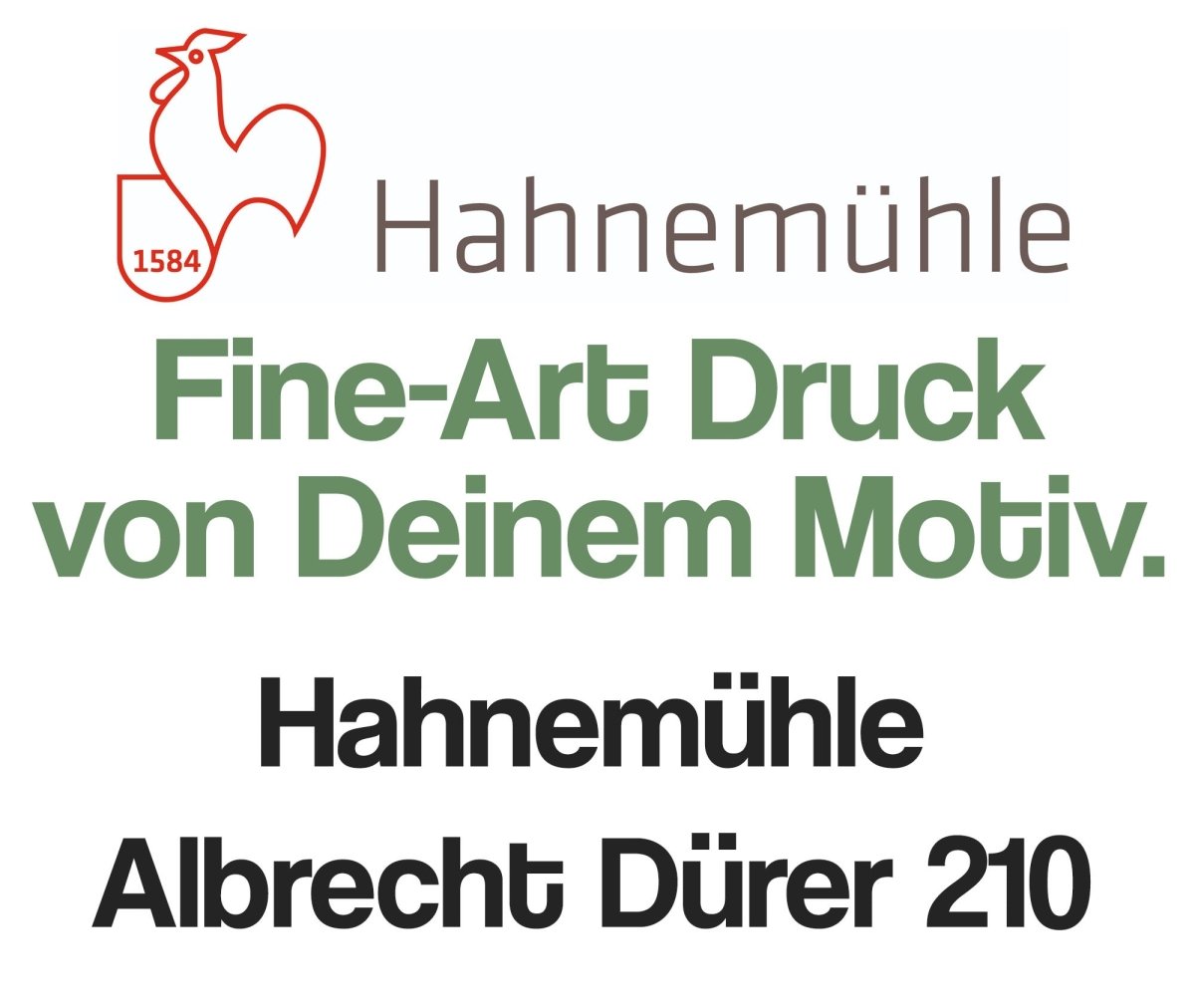 Fine-Art Druck auf Hahnemühle Albrecht Dürer 210 - artidomo