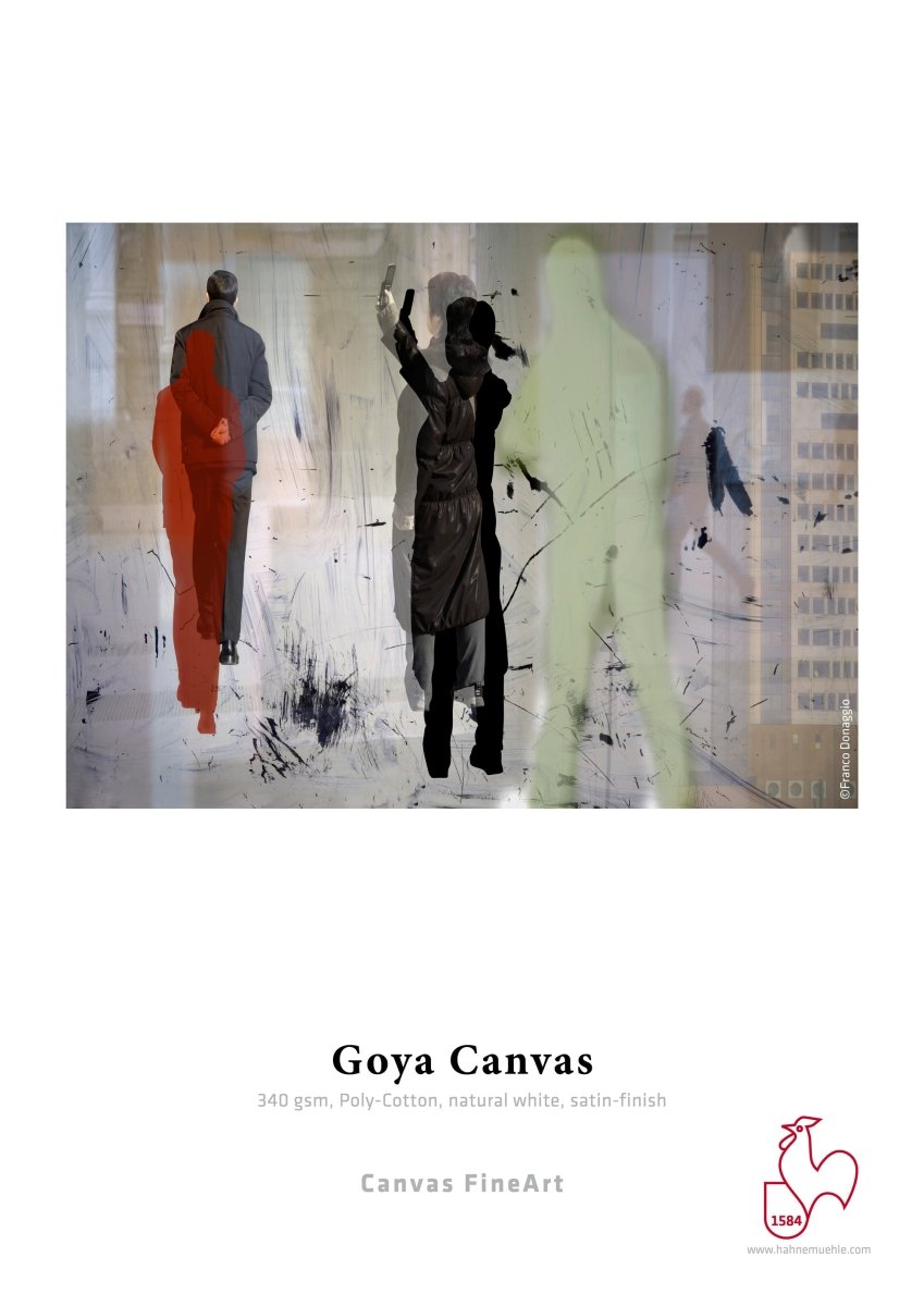 Hahnemühle Goya Canvas 340 - artidomo