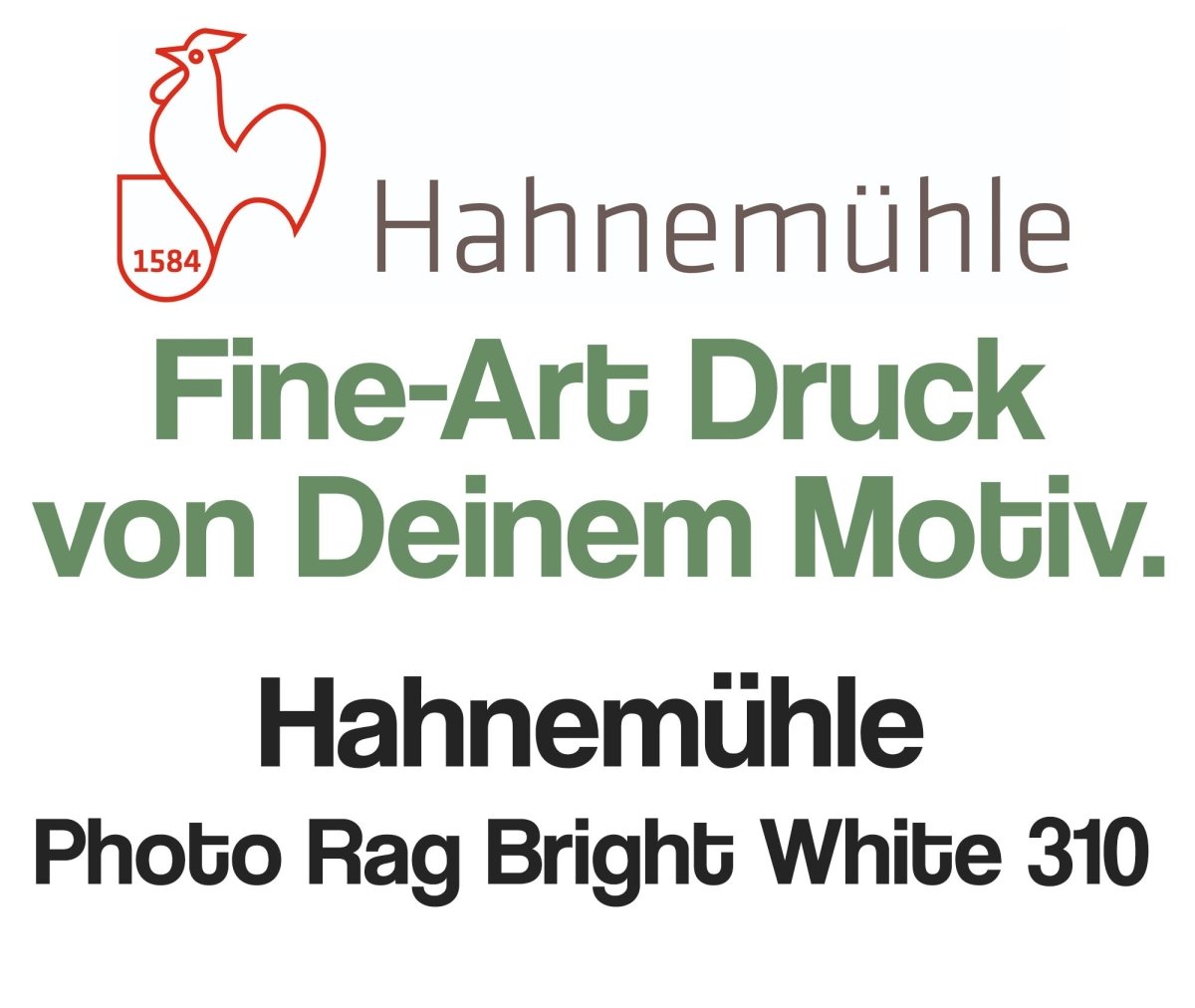 Fine-Art Druck auf Hahnemühle Photo Rag Bright White 310 - artidomo