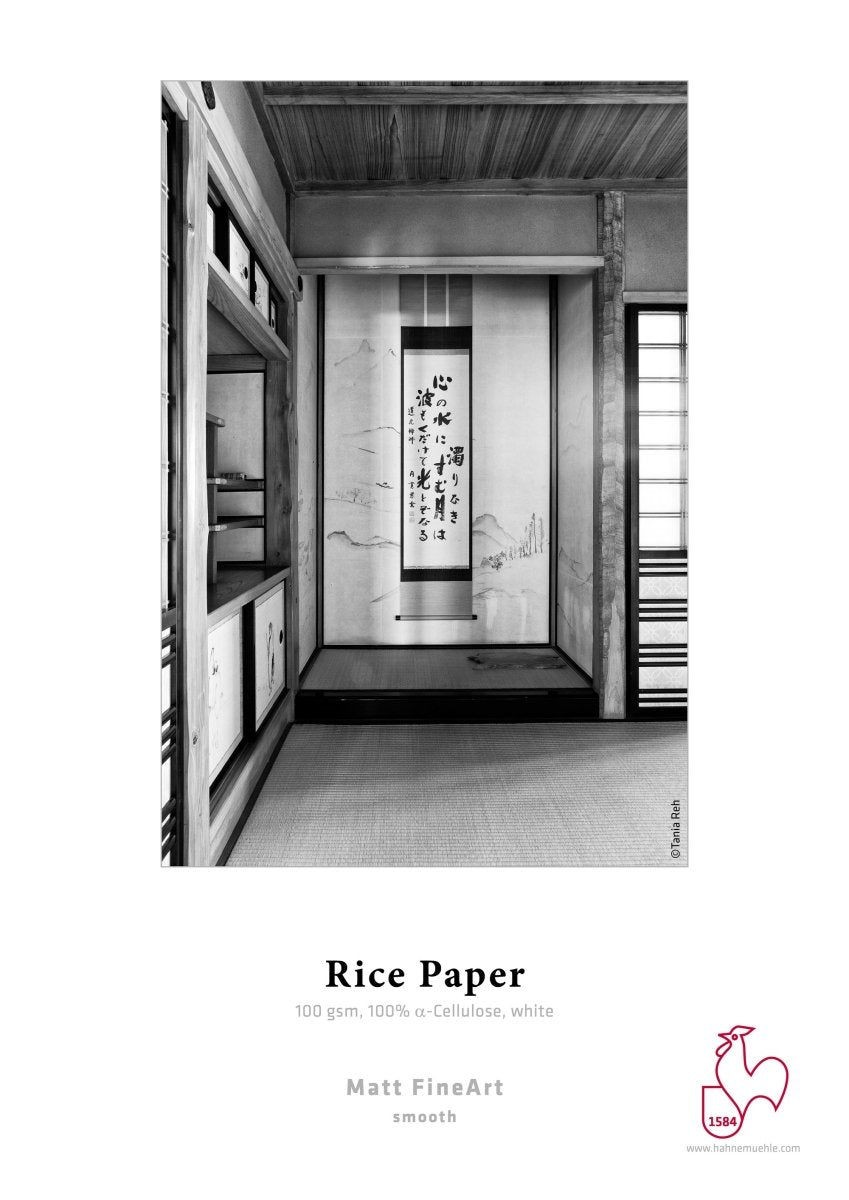 Hahnemühle Rice Paper 100 - artidomo